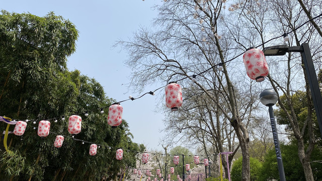 樱花游园会