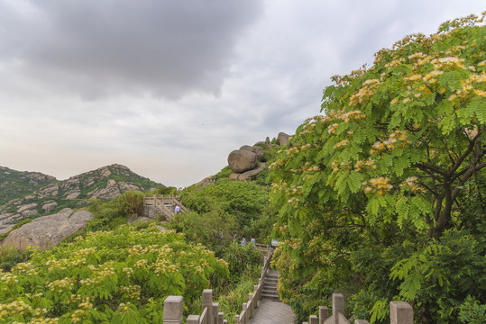 上海洋山港码头