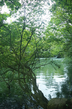 山水河流小溪自然风光