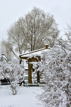 公园雪景