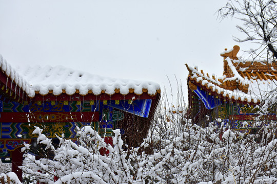 公园雪景