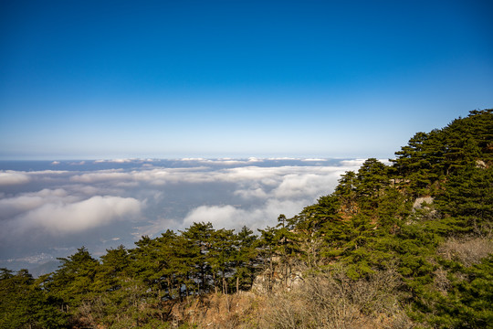 大洪山风景区