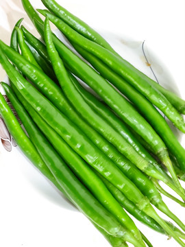 二荆条青辣椒