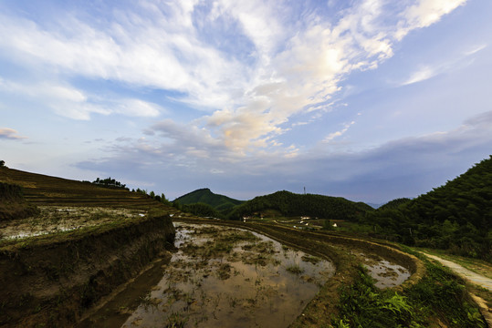 梯田风光