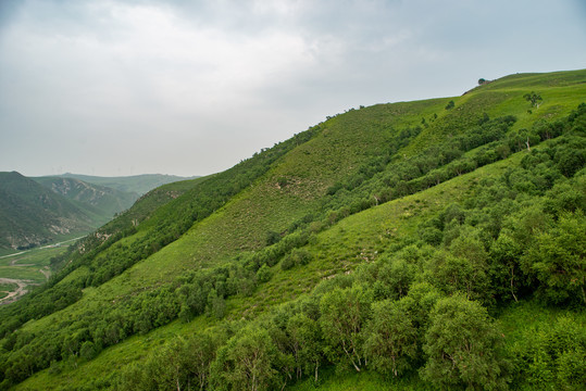 辉腾锡勒草原山