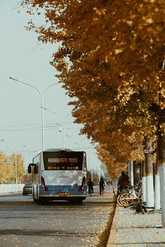 北京秋季街景