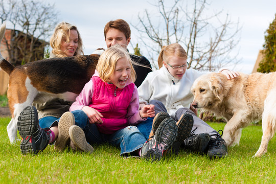 一家人，父亲，母亲和女儿，和他们的狗一起坐在草地上，他们欢笑着，玩得很开心