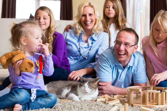 一家人在家里玩积木和一只猫在地板上