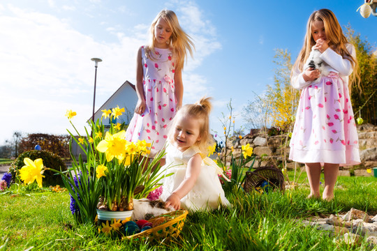 春天，孩子们在草地上寻找复活节彩蛋，前景是一只活的复活节兔子在等待