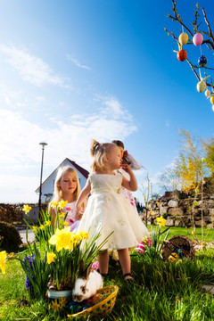 春天，孩子们在草地上寻找复活节彩蛋，前景是一只活的复活节兔子在等待