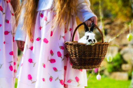 春天，孩子们在草地上寻找复活节彩蛋，一只复活节兔子坐在篮子里