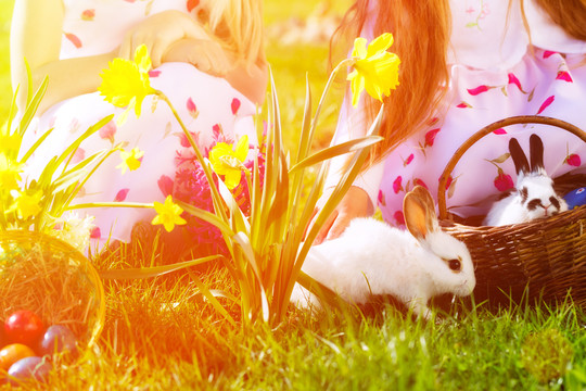 春天的草地上，活的复活节兔子拿着篮子里的鸡蛋，背景是孩子们