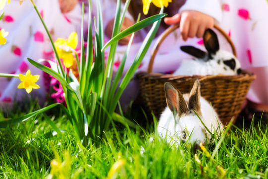 春天，活在草地上篮子里的复活节兔子，背景是孩子们