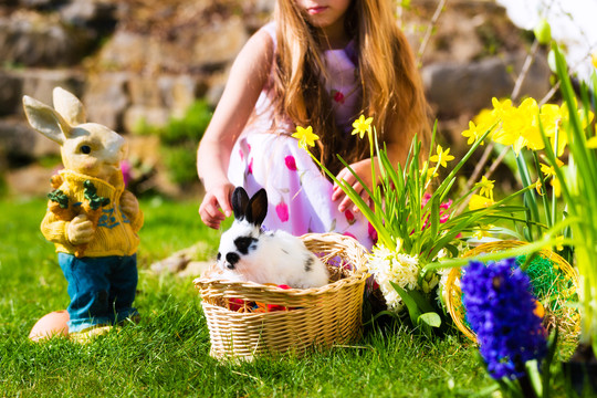 春天的草地上，活的复活节兔子拿着篮子里的鸡蛋，背景是孩子