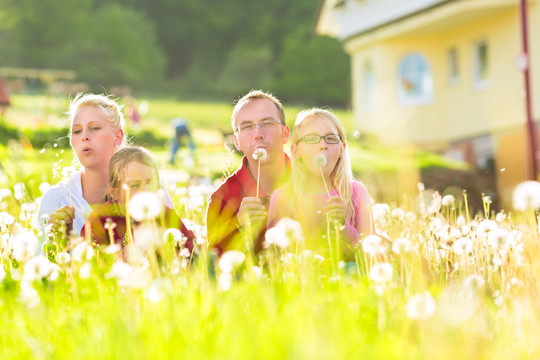 一个快乐的家庭，女儿们在夏天坐在家门口的草地上