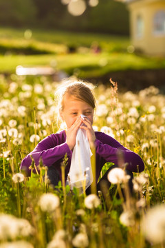 坐在长满蒲公英的草地上的女孩得了花粉热或过敏