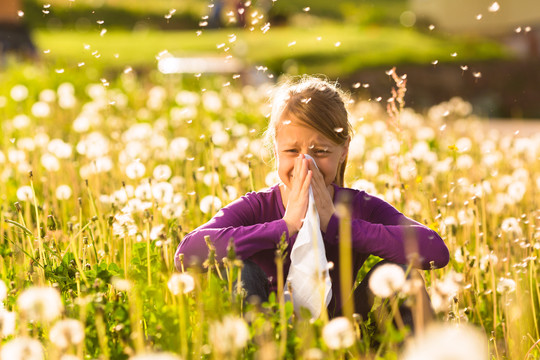 坐在长满蒲公英的草地上的女孩得了花粉热或过敏