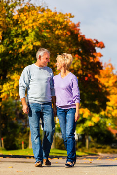 老人夫妇，男女，秋日在户外散步，树上五彩缤纷