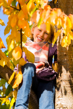 小女孩秋高气爽地坐在一棵五颜六色的树上，享受着她的童年
