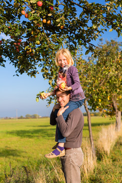 秋天，爸爸和女儿在蓝天前从一棵五颜六色的苹果树上摘苹果