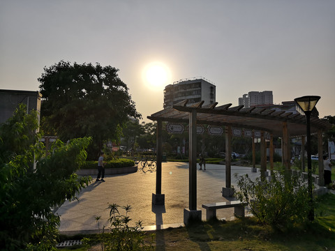 公园夕阳风景