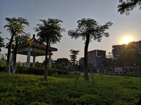 公园风景