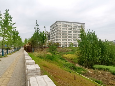 路边风景