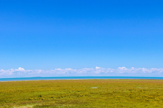 青海湖