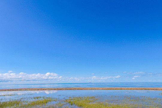 青海草原