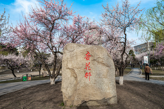 春暖花开的中国长春城区景观