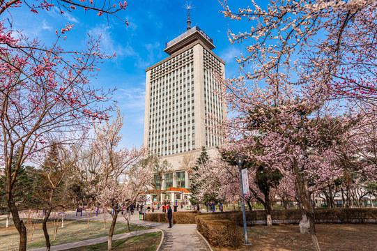 春暖花开的中国长春城区景观