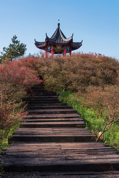 湖北麻城龟峰山景区的杜鹃亭