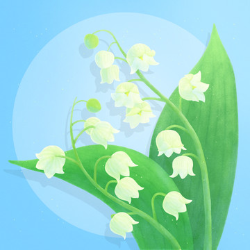 植物鲜花铃兰花素材元素插画