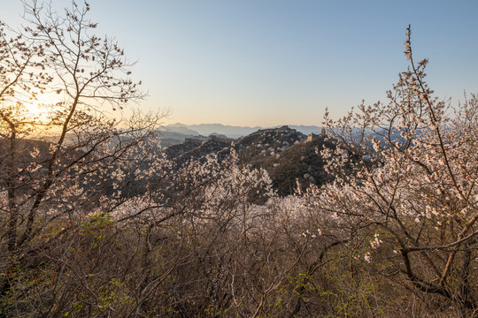 长城春色