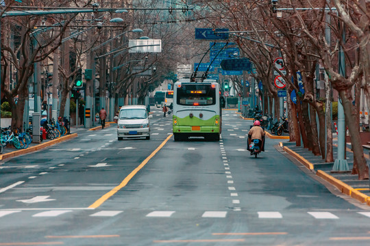 马路上的公交车