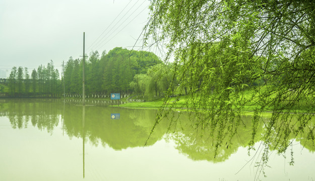 绿树碧水