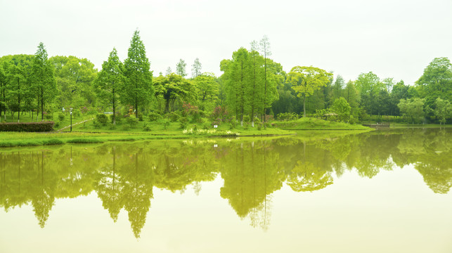 碧水绿树
