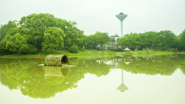 绿油油湖景