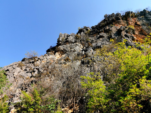 山体岩石植被