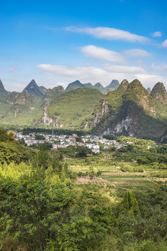 青山素材