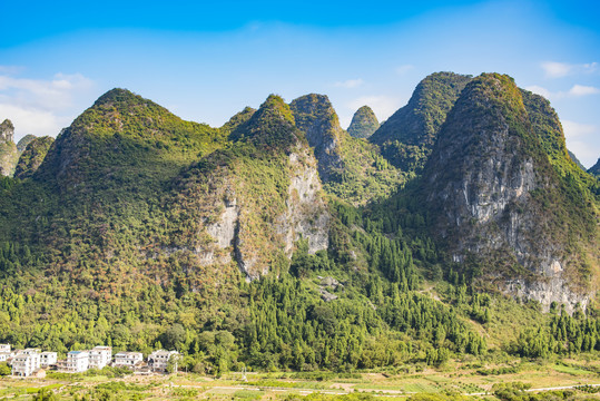 青山素材