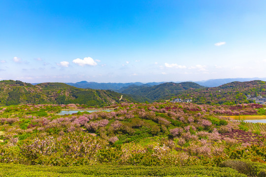 四明山风光