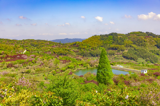 四明山