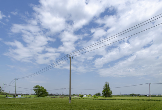 蓝天白云田野