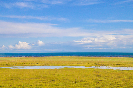 青海湖