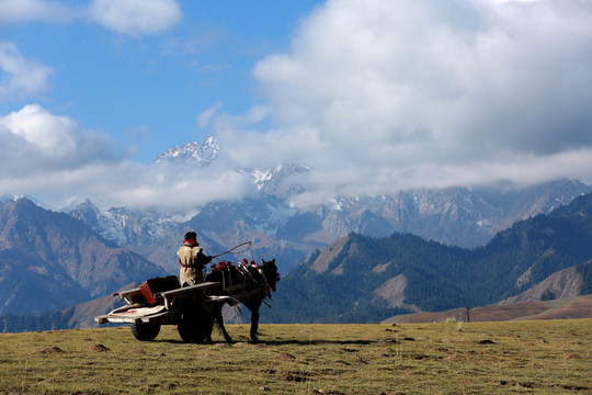 新疆风景马车