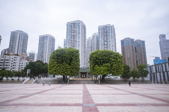 深圳皇岗村文化广场