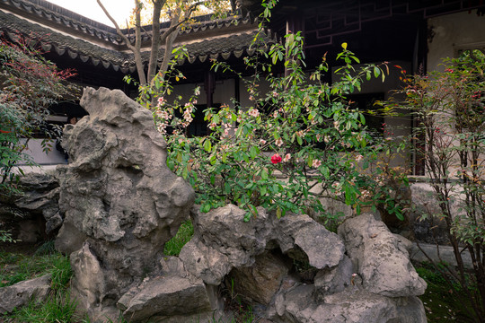 苏州留园园林景观建筑
