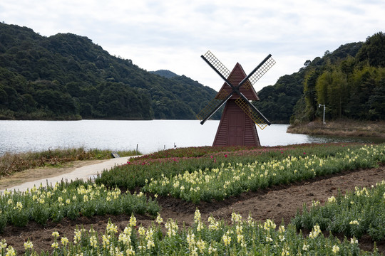 花卉种植基地