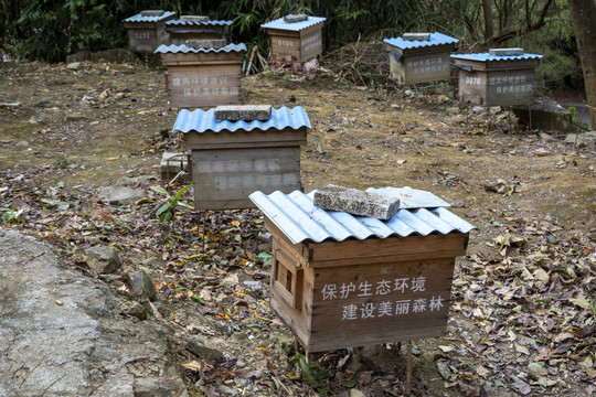 乡村养蜂场